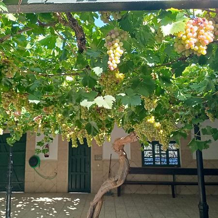 Casa Rural La Del Alba Seria Argamasilla de Alba Eksteriør billede