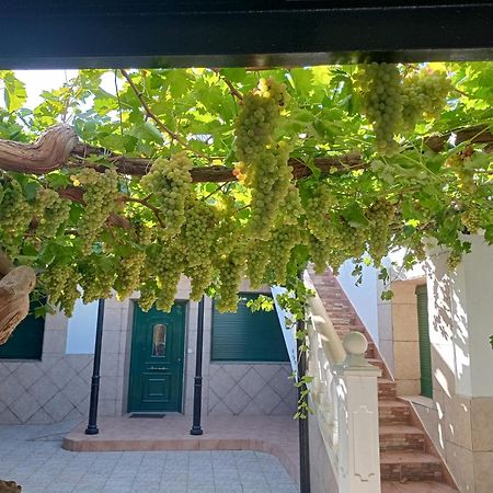 Casa Rural La Del Alba Seria Argamasilla de Alba Eksteriør billede