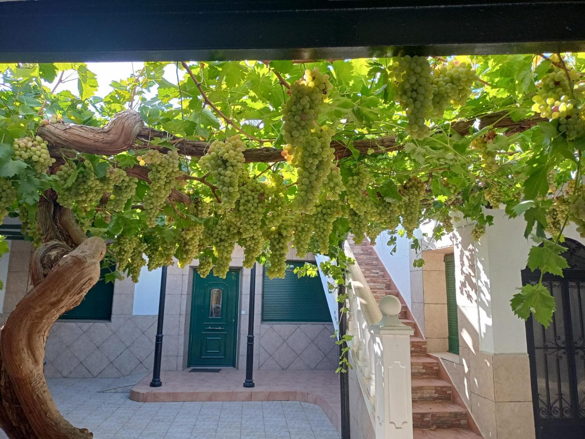 Casa Rural La Del Alba Seria Argamasilla de Alba Eksteriør billede
